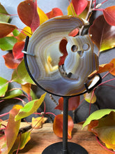 Load image into Gallery viewer, Healing Agate Moon And Owl With Stand