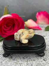 Load image into Gallery viewer, Mexican Crazy Lace Agate Crystal Frog Carving