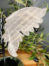 Load image into Gallery viewer, Stunning Rose Quartz Crystal Butterfly Wings On Black Stand