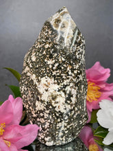 Load image into Gallery viewer, High Quality Ocean Jasper Crystal Freeform