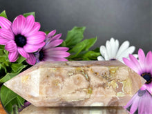 Load image into Gallery viewer, Crystal Flower Agate Double Point Healing Décor