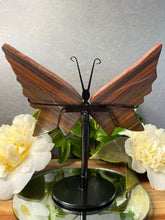 Load image into Gallery viewer, Colorful Tiger Eye Crystal Butterfly Wings