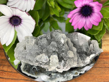 Load image into Gallery viewer, Stunning Grey Apophyllite Crystal Cluster
