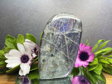 Load image into Gallery viewer, Labradorite Stone Freeform With Purple Flash