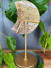 Load image into Gallery viewer, Natural 8th Vein Ocean Jasper Crystal Crescent Moon
