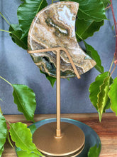Load image into Gallery viewer, Chakra Healing Ocean Jasper Crystal Crescent Moon