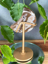 Load image into Gallery viewer, Stunning 8th Vein Ocean Jasper Crystal Crescent Moon