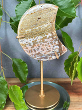 Load image into Gallery viewer, Natural 8th Vein Ocean Jasper Crystal Crescent Moon