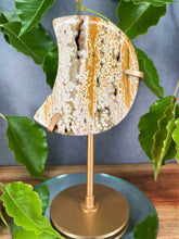 Load image into Gallery viewer, Orbicular 8th Vein Ocean Jasper Crystal Crescent Moon