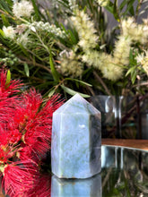 Load image into Gallery viewer, Tranquil Blue Moss Agate Crystal Tower Point