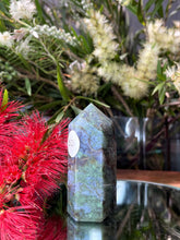 Load image into Gallery viewer, Growth Moss Agate Crystal Tower Point