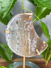 Load image into Gallery viewer, Magnificent 8th Vein Ocean Jasper Crystal Crescent Moon