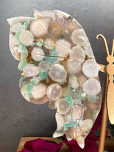Load image into Gallery viewer, Rare High Quality Green Flower Agate Crystal Butterfly Wings