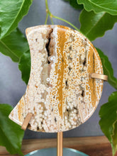 Load image into Gallery viewer, Orbicular 8th Vein Ocean Jasper Crystal Crescent Moon
