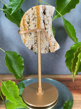 Load image into Gallery viewer, Orbicular 8th Vein Ocean Jasper Crystal Crescent Moon