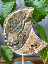 Load image into Gallery viewer, Healing Ocean Jasper Crystal Crescent Moon