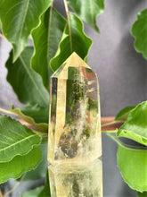 Load image into Gallery viewer, Prosperity Yellow Citrine Quartz Crystal Tower Point