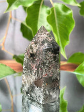Load image into Gallery viewer, Beautiful Garden Quartz Crystal Tower Point
