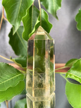 Load image into Gallery viewer, Wealth Yellow Citrine Quartz Crystal Tower Point