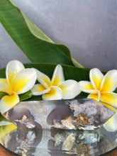 Load image into Gallery viewer, Beautiful Natural Flower Agate Crystal Double Point