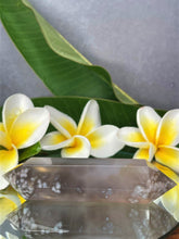 Load image into Gallery viewer, Growth Natural Flower Agate Crystal Double Point