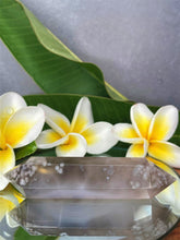 Load image into Gallery viewer, Growth Natural Flower Agate Crystal Double Point