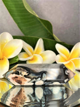 Load image into Gallery viewer, Stability Flower Agate Crystal Double Point