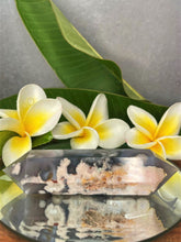 Load image into Gallery viewer, Natural Flower Agate Crystal Double Point