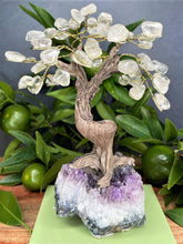 Load image into Gallery viewer, Tree of Life Amethyst Cluster Base & Clear Quartz Tumble Leaves