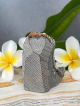 Load image into Gallery viewer, Beautiful Amethyst Crystal Cluster