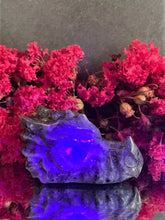 Load image into Gallery viewer, Transformation Yooperlite Crystal Dragon Head Stone Carving