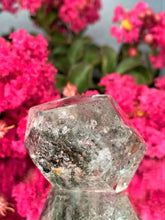 Load image into Gallery viewer, Chakra Healing Garden Quartz Lodolite Crystal Freeform 