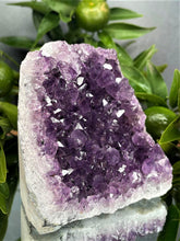 Load image into Gallery viewer, Serenity Amethyst Crystal Cluster Geode
