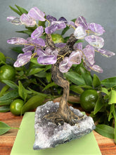 Load image into Gallery viewer, Calming Tree of Life Amethyst Cluster Base Tumble Leaves