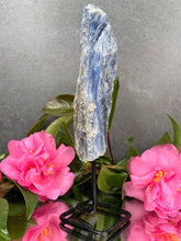 Load image into Gallery viewer, Beautiful Kyanite Rough Stone On Fixed Stand
