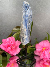 Load image into Gallery viewer, Beautiful Kyanite Rough Stone On Fixed Stand