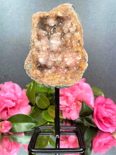 Load image into Gallery viewer, Pink Amethyst Crystal Geode With Druzy On Fixed Stand 43