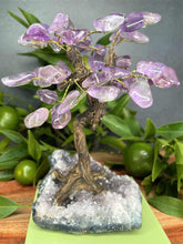 Load image into Gallery viewer, Calming Tree of Life Amethyst Cluster Base Tumble Leaves