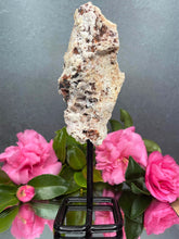 Load image into Gallery viewer, Pink Amethyst Crystal Geode With Druzy On Fixed Stand 30