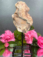 Load image into Gallery viewer, Pink Amethyst Crystal Geode With Druzy On Fixed Stand 44