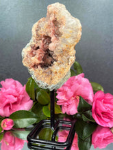 Load image into Gallery viewer, Pink Amethyst Crystal Geode With Druzy On Fixed Stand 29
