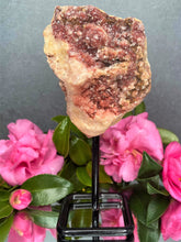 Load image into Gallery viewer, Pink Amethyst Crystal Geode With Druzy On Fixed Stand 19