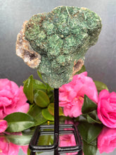 Load image into Gallery viewer, Pink Amethyst Crystal Geode With Druzy On Fixed Stand 42