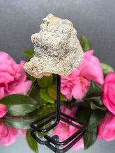 Load image into Gallery viewer, Pink Amethyst Crystal Geode With Druzy On Fixed Stand 02