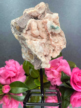 Load image into Gallery viewer, Pink Amethyst Crystal Geode With Druzy On Fixed Stand 46