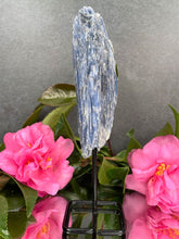 Load image into Gallery viewer, Healing Kyanite Crystal Rough Stone On Fixed Stand