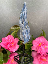 Load image into Gallery viewer, Stunning Kyanite Rough Stone On Fixed Stand