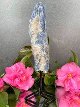 Load image into Gallery viewer, Beautiful Kyanite Rough Stone On Fixed Stand
