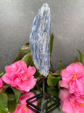 Load image into Gallery viewer, Healing Kyanite Crystal Rough Stone On Fixed Stand