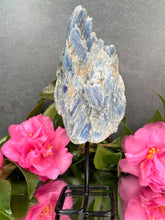 Load image into Gallery viewer, Healing Natural Kyanite Crystal Rough Stone On Fixed Stand